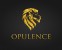 https://salesprofessionals.co.in/company/opulence-business-solutions